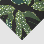 Blätter für botanisches Gepunktet Begonia Seidenpapier (Ausschnitt)