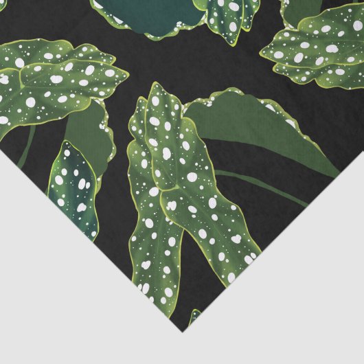 Blätter für botanisches Gepunktet Begonia Seidenpapier (Ausschnitt)