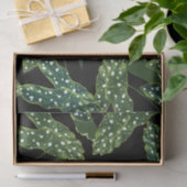 Blätter für botanisches Gepunktet Begonia Seidenpapier (Geschenk)
