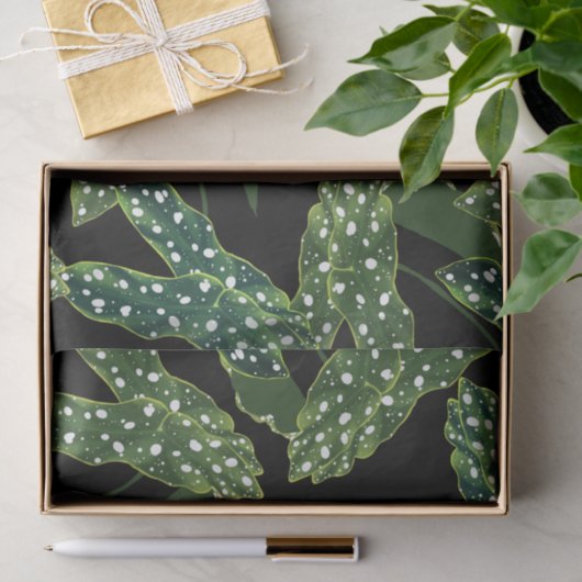 Blätter für botanisches Gepunktet Begonia Seidenpapier (Geschenk)