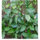 Blätter für den Garten bemalt Duschvorhang (Vorderseite)