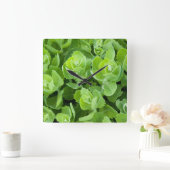 Blätter für den Grünen Frühling Quadratische Wanduhr (Zuhause)