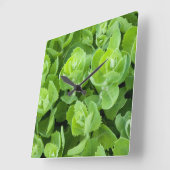 Blätter für den Grünen Frühling Quadratische Wanduhr (Winkel)