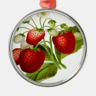 Blätter für die Blattlinie von Lebensmitteln Silbernes Ornament