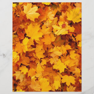 Blätter für die Herbstgelbe Maple