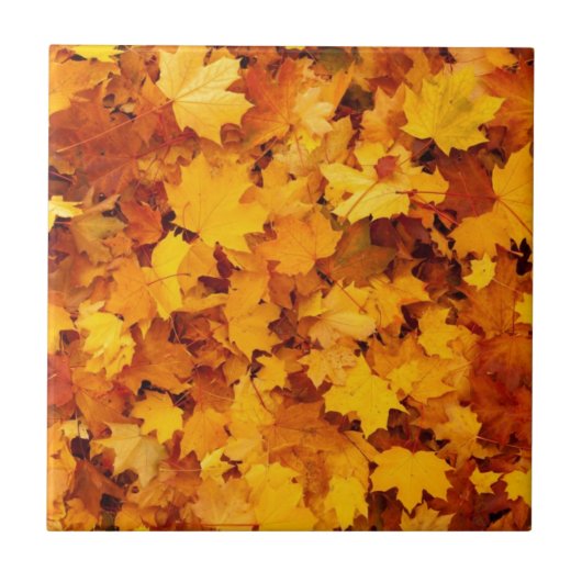 Blätter für die Herbstgelbe Maple Fliese (Vorderseite)