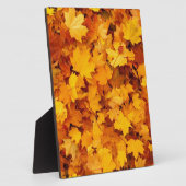 Blätter für die Herbstgelbe Maple Fotoplatte (Seite)