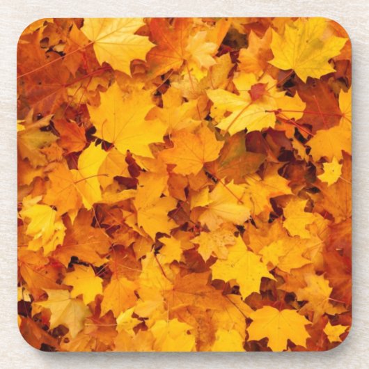 Blätter für die Herbstgelbe Maple Getränkeuntersetzer (Vorderseite)