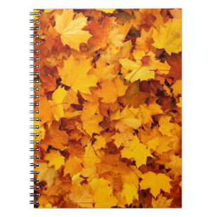 Blätter für die Herbstgelbe Maple Notizblock