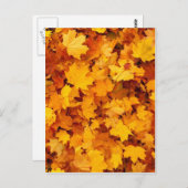 Blätter für die Herbstgelbe Maple Postkarte (Vorne/Hinten)