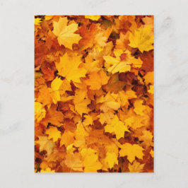 Blätter für die Herbstgelbe Maple Postkarte