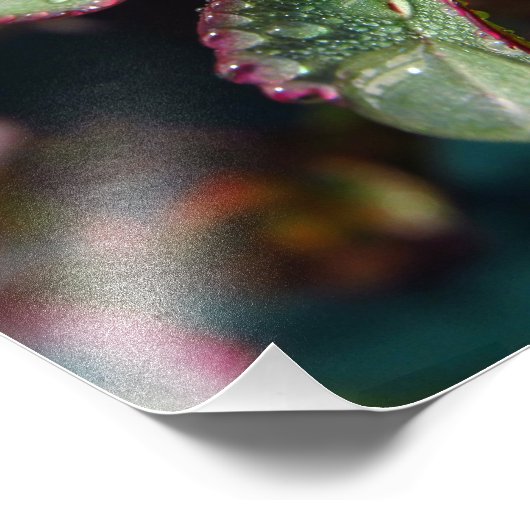 Blätter für die Rose Fotodruck (Ecke)