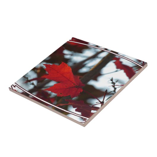 Blätter für Ferien Fliese (Seite)