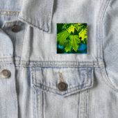 Blätter für frischen grünen Ahorn Button (Beispiel)
