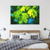 Blätter für frischen grünen Ahorn Leinwanddruck (Insitu (Schlafzimmer))