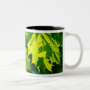 Blätter für frischen grünen Ahorn Zweifarbige Tasse