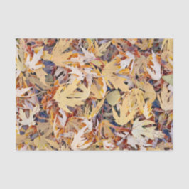 Blätter für gelb gestrichene Ahorn Seidenpapier