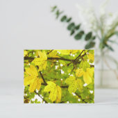 Blätter für Gelbe Feldmaske Postkarte (Stehend Vorderseite)