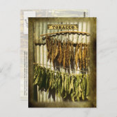 Blätter für getrockneten Tabak Postkarte (Vorne/Hinten)