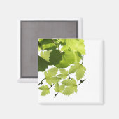 Blätter für grünen Weinbau Magnet (Vorderseite/Rückseite)