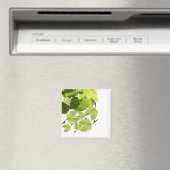 Blätter für grünen Weinbau Magnet (In Situ (Geschirrspüler))