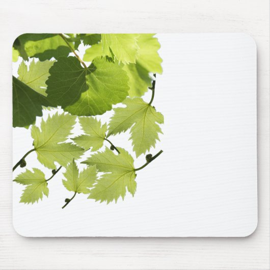 Blätter für grünen Weinbau Mousepad (Vorne)