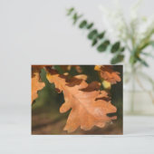 Blätter für Herbst-Eiche Postkarte (Stehend Vorderseite)