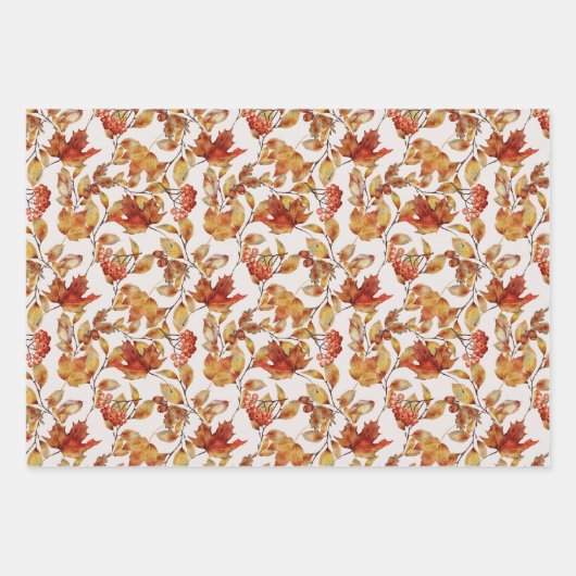 Blätter für Herbst-Herbst (Vorderseite 3)