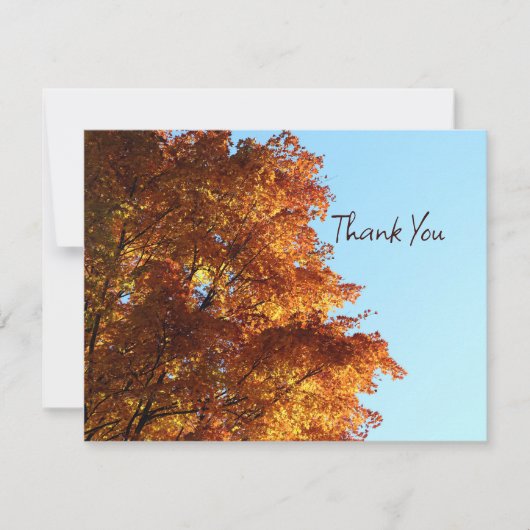 Blätter für Herbstmaple Feiertagskarte (Vorderseite)