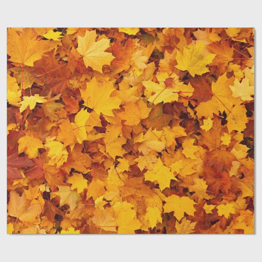 Blätter für Herbstmaple Geschenkpapier (Flach)