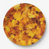 Blätter für Herbstmaple Pappteller (Vorderseite)