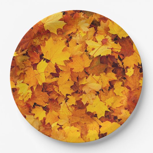 Blätter für Herbstmaple Pappteller (Vorderseite)