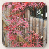 Blätter für japanische Maple und Bambuszaun Getränkeuntersetzer (Vorderseite)