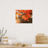 Blätter für rote Herbstmaple Poster (Küche)