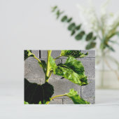 Blätter für Sonnenblumen Postkarte (Stehend Vorderseite)