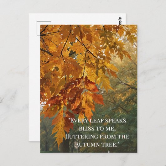 Blätter für Waldbäume im Herbst - Zitate Postkarte (Vorne/Hinten)