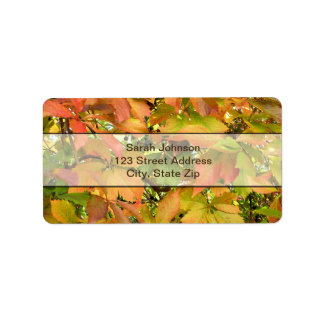 Blätter für wild lebende Weintrauben im Herbst Adressaufkleber