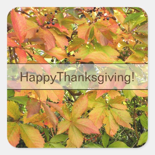 Blätter für wild lebende Weintrauben im Herbst Quadratischer Aufkleber (Vorderseite)
