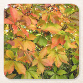 Blätter für wild lebende Weintrauben im Herbst Rechteckiger Pappuntersetzer (Vorderseite)