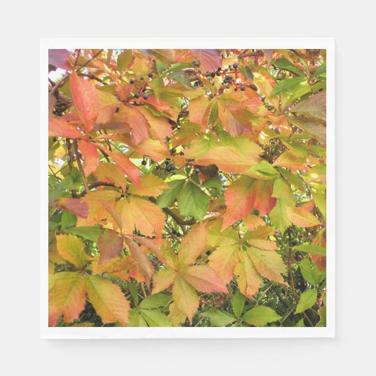 Blätter für wild lebende Weintrauben im Herbst Serviette (Vorderseite)