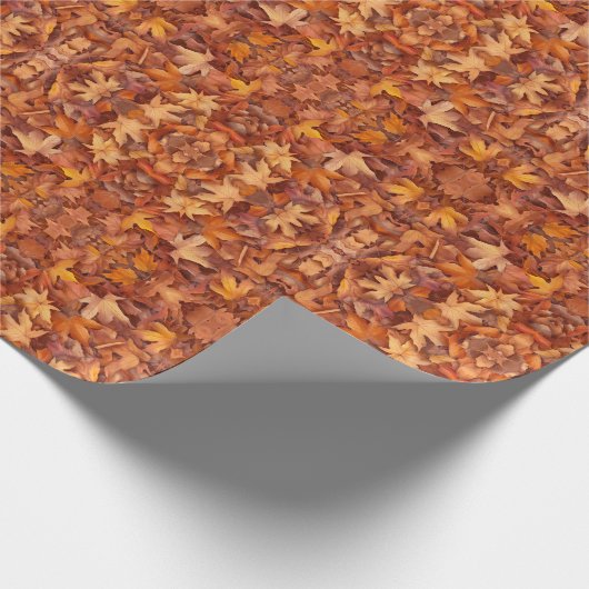 Blätter Geschenkpapier (Ecke)