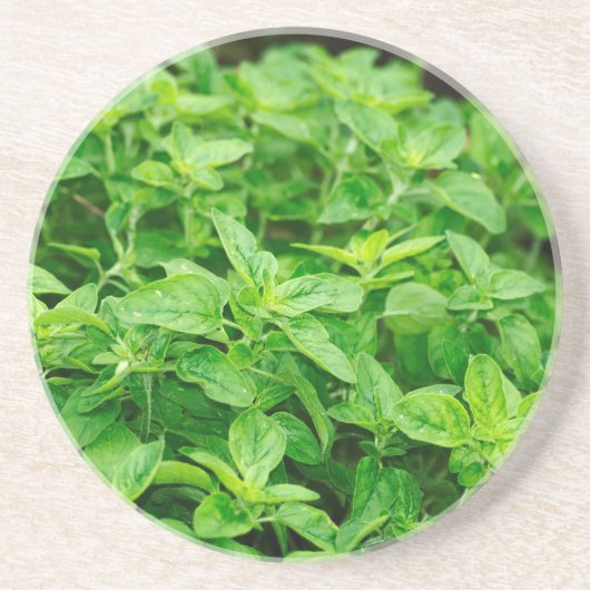 Blätter Getränkeuntersetzer (Vorne)