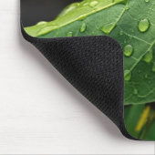Blätter, Grün, Botanik Mousepad (Ecke)