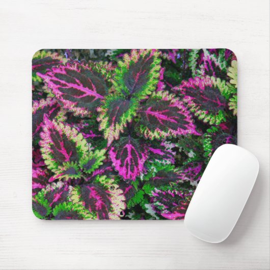 BLÄTTER GRÜNE UND MAGENTA COLEUS MOUSEPAD (Mit Mouse)