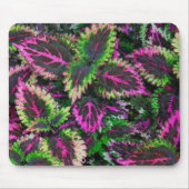 BLÄTTER GRÜNE UND MAGENTA COLEUS MOUSEPAD (Vorne)