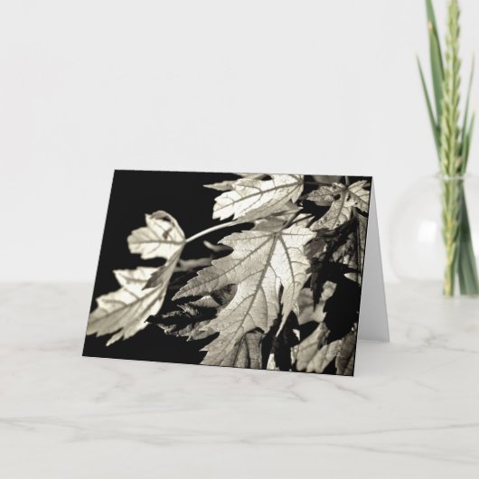 Blätter [Grußkarte] Karte (Vorderseite)