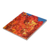 Blätter Herbst Tiles Art Orange Herbst Baum Fliese (Seite)