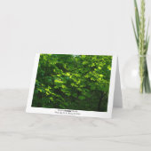 Blätter im Frühjahr Karte (Rückseite)