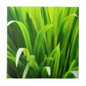 Blätter im Garten Fliese (Vorderseite)