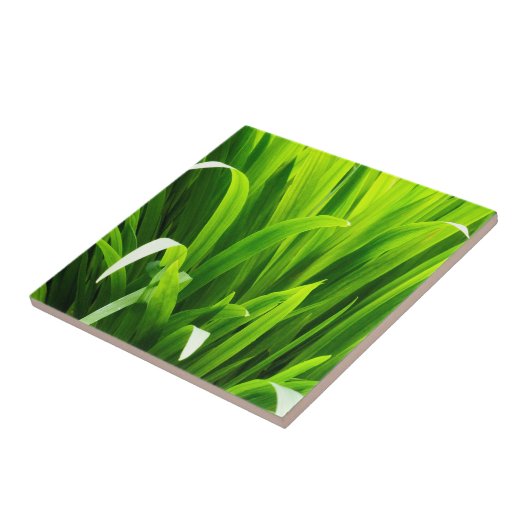 Blätter im Garten Fliese (Seite)